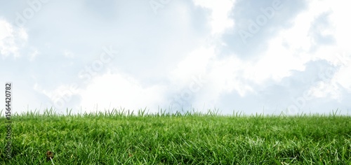 Flat design grass field is spreading under partly cloudy sky with detailed blades and soft clouds