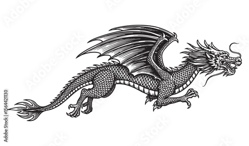flying dragon engraving vector style