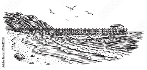 beach scene with bird