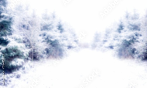 Snow covered trees on field