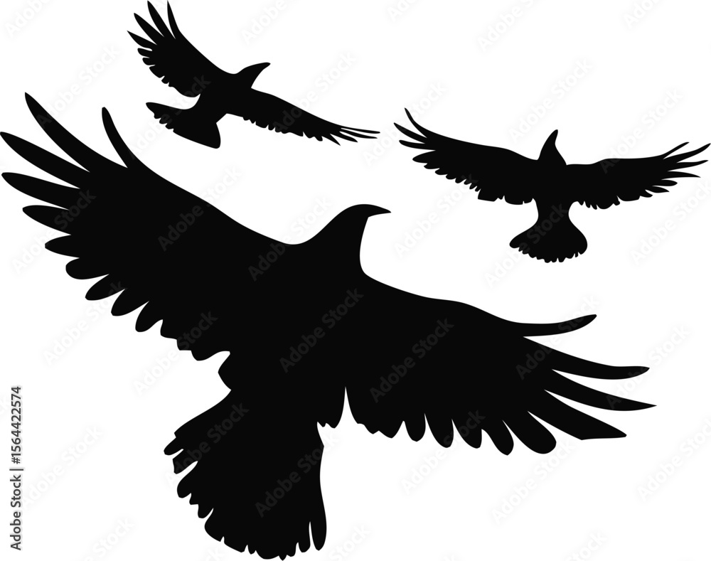 Obraz premium Flying Birds Silhouette Vector Set | Black Winged Animal Clipart Design