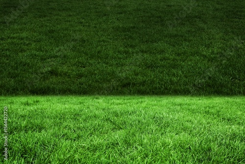 Two shades of green grass
