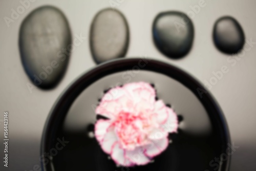 Flower floating in bowl by pebbles