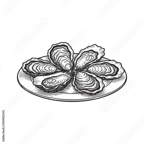 Oysters engraving woodcut vector illustration