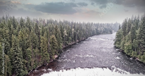 Flowing river is running through coniferous forest in flat design with rapids and overcast sky