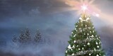 Christmas tree in snowy forest