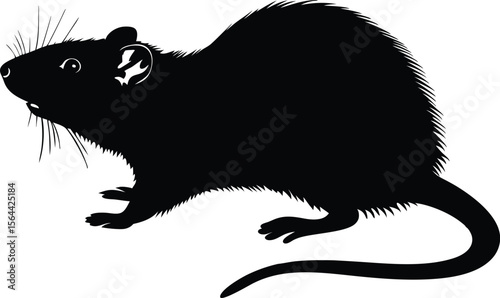 Rat Silhouette Vector | Black Rodent Animal Clipart Graphic Design