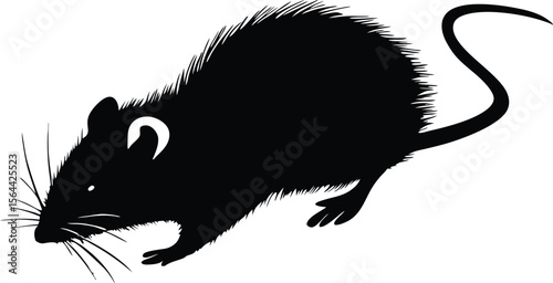 Rat Silhouette Vector | Black Rodent Animal Clipart Graphic Design