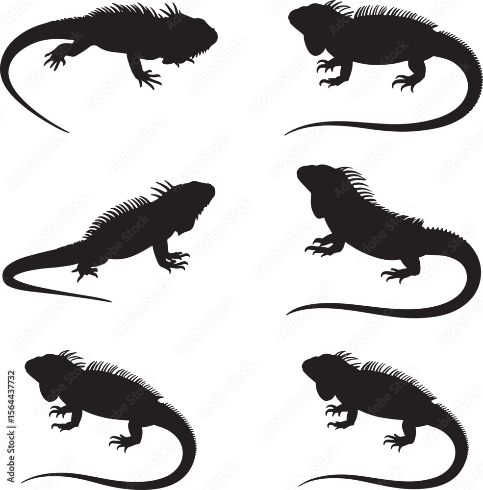 Naklejka premium Collection of black iguana silhouettes in Various poses isolated on white background