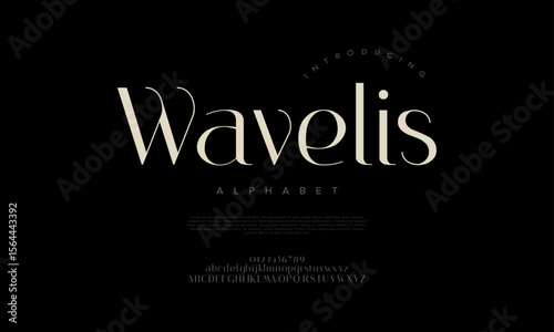 High-contrast modern serif font with clean curves and stylish elegance, ideal for high-end design and branding