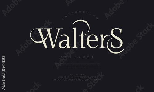 Decorative serif font with dramatic swashes and refined elegance, ideal for luxury branding and premium titles