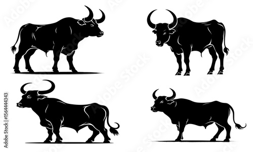 vector black and white bull silhouettes