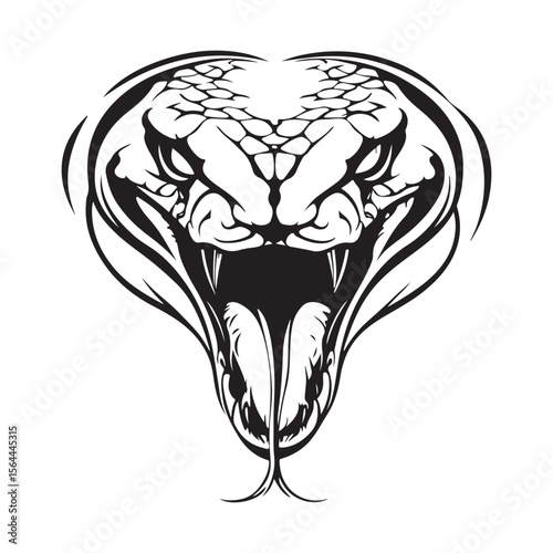 Angry Snake Viper Baring Its Fangs Image Vector Isolated on white background.