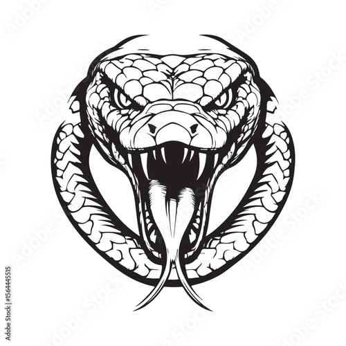 Angry Snake Viper Baring Its Fangs Image Vector Isolated on white background.