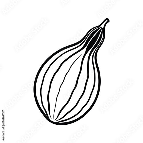 onion vector illustration
