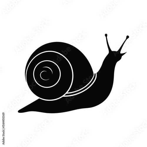 snail