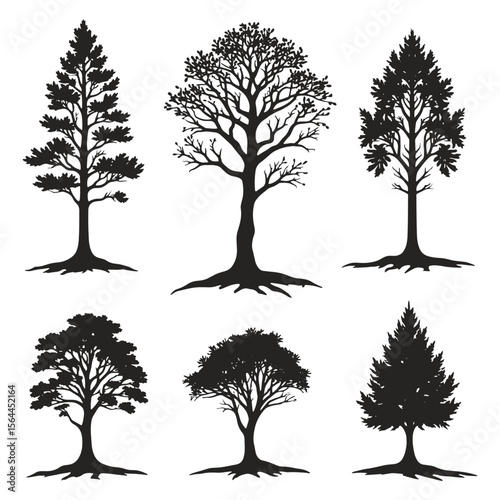 A diverse collection of tree silhouettes, vectors, and illustrations captures the essence of nature's changing seasons from vibrant spring growth to the stark beauty of bare winter branches
