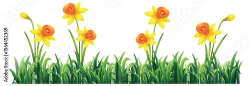 Vibrant Daffodils in Lush Green Grass