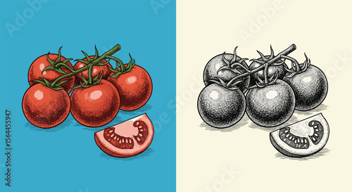 Juicy Ripe Cherry Tomatoes on the Vine with a Slice of Fresh Tomato Detailed Illustration on a Vibrant Blue and Creamy Beige Background