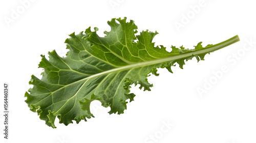 Photos Fresh green kale leaf isolated on black background