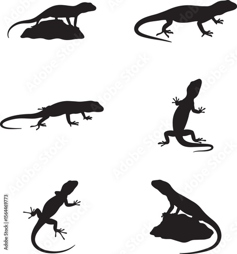 Collection of lizard silhouettes in various poses and on a rock silhouette