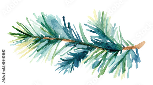 Watercolor Drawing of Fir Tree Branch Illustration Isolated on White Background
