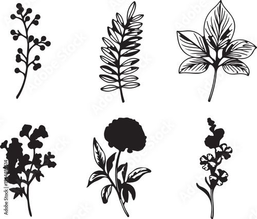 Monochrome Assorted Floral and Leaf Sprigs Line Art
