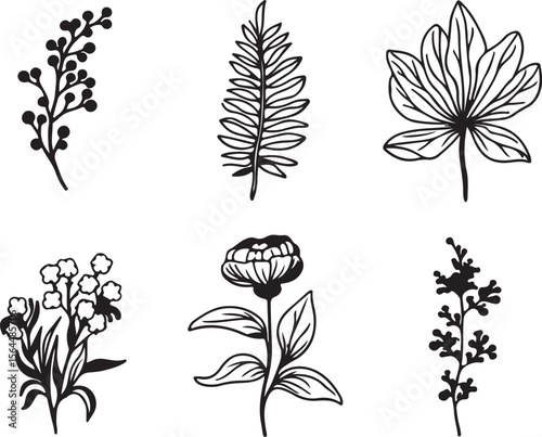 Monochrome Assorted Floral and Leaf Sprigs Line Art