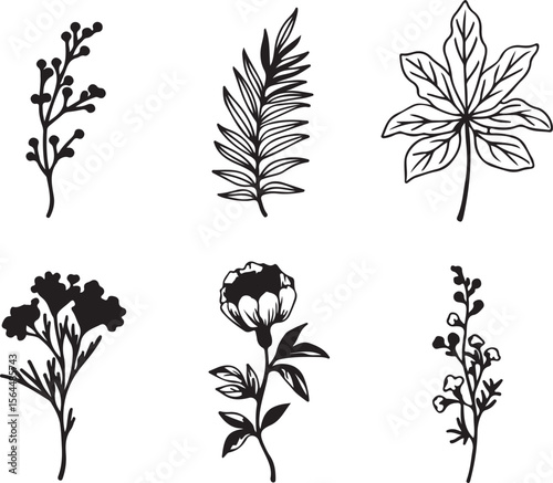 Monochrome Assorted Botanical Elements: Silhouettes and Line Art