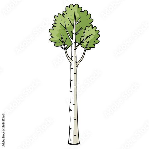 A delicate birch tree vector icon, featuring slender, white bark and graceful branches, ideal for serene and minimalist nature designs.