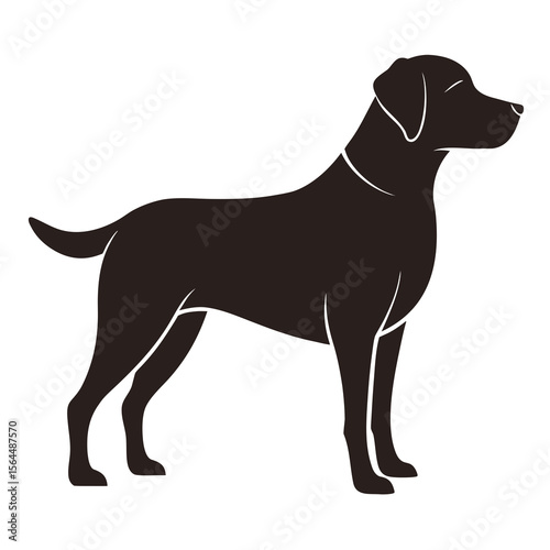 Labrador Retriever Silhouette Vector in Side Standing Pose for Dog Lover and Pet Design
