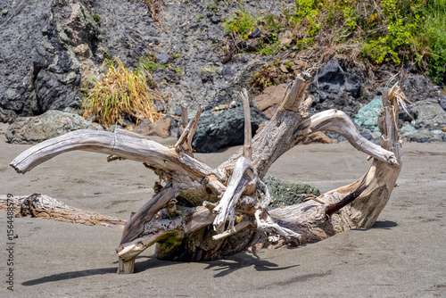 Driftwood buried in the sand on the beach at Trinidad, California, USA