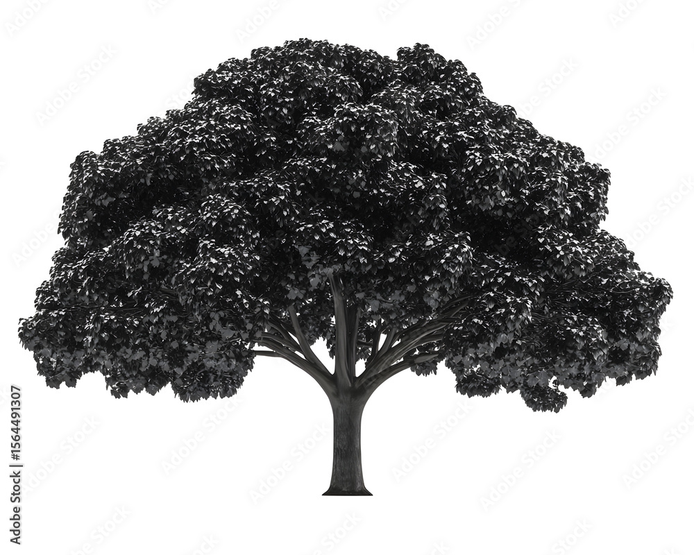 Fototapeta premium tree silhouette isolated png