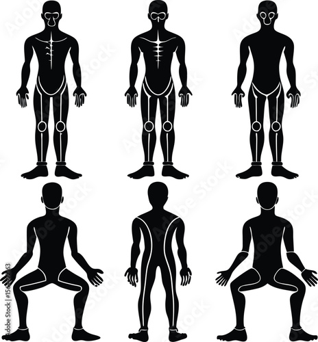 Black & White Human Anatomy Illustration: Skeletal System, Muscle Structure, Medical Art