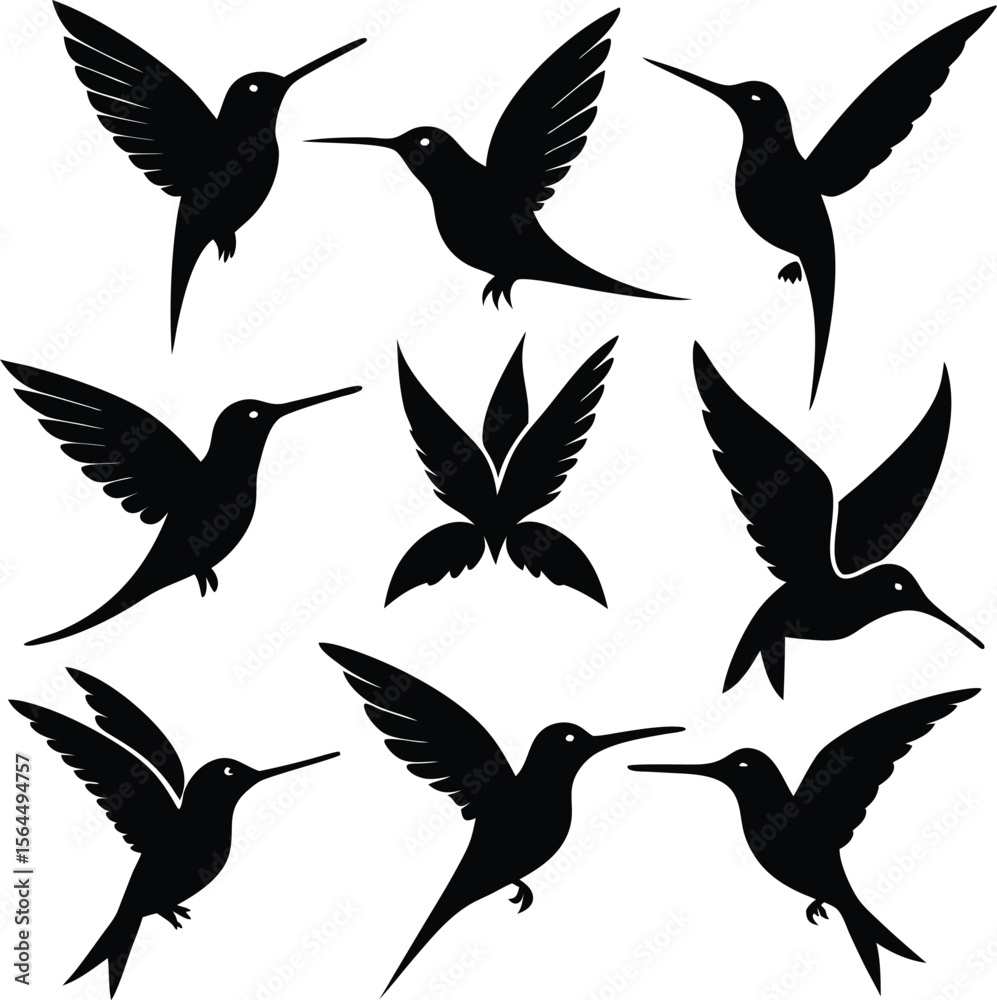 Fototapeta premium Hummingbird Silhouette Vector Art: Flying Bird Illustrations, Graphic Design Elements