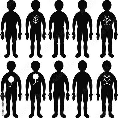Human Figure Silhouettes with Internal Organs: Anatomy Art, Medical Illustration, Vector Graphics