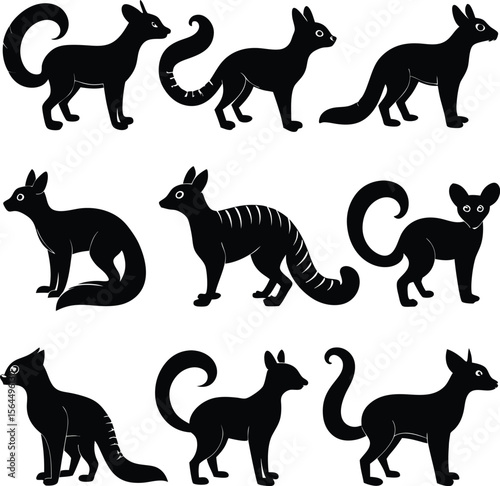 Black & White Vector Clipart of Cuscus Animals: Cute Cartoon Illustration of Arboreal Marsupials