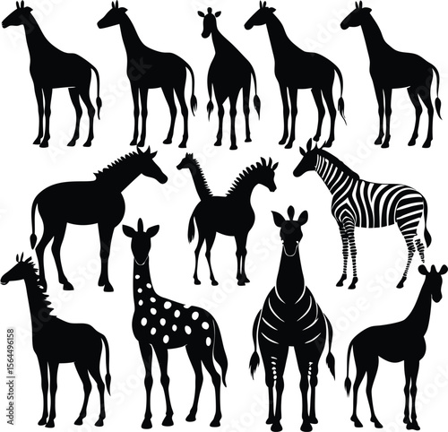 Giraffe & Zebra Silhouettes: African Animal Vector Graphics, Wildlife Illustration, Black & White Art