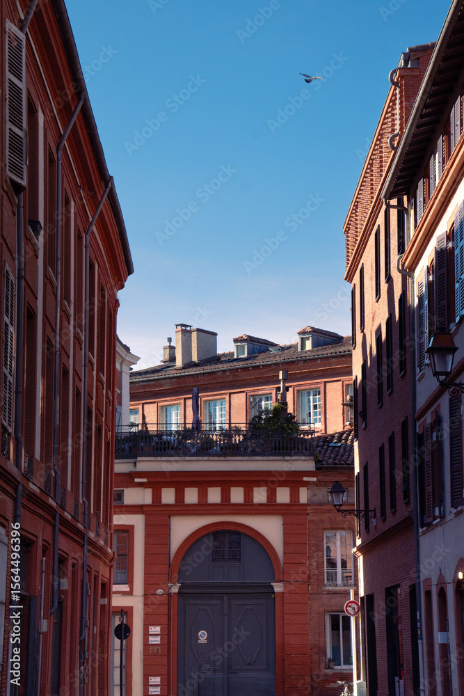 Fototapeta premium Toulouse city and architecture photo