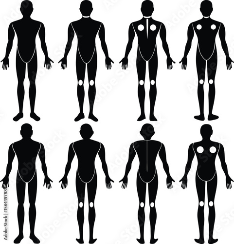 Human Body Silhouette: Anatomy Illustration, Black and White Vector Graphic, Medical Diagram