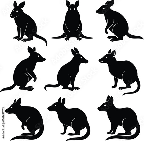 Black Silhouette Bandicoot Vector Illustration: Australian Marsupial Wildlife Art Graphic Set