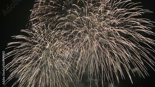 Colorful Fireworks Exploding in the Night Sky at a Japanese Summer Festival