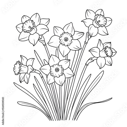 Illustration vector of a narcissus line art