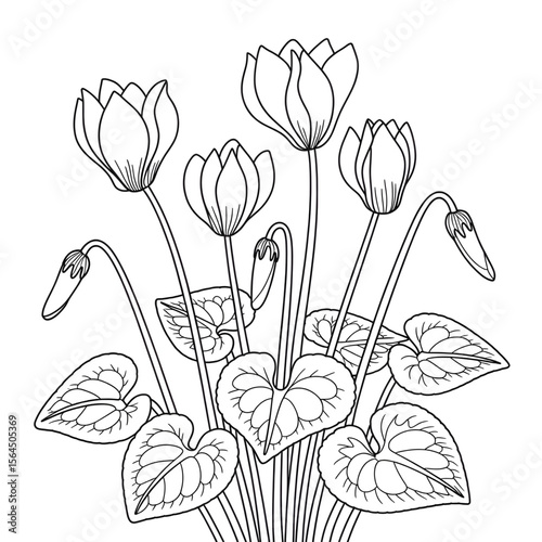 Illustration vector pf a sweet pia line drawing coloring page