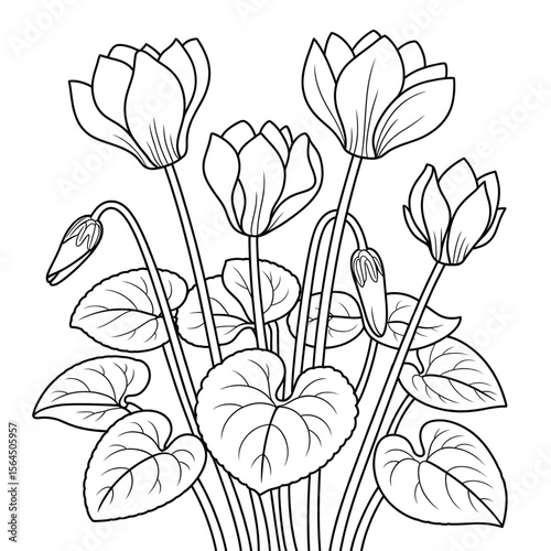 Vector illustration of a sweet pia line drawing coloring page
