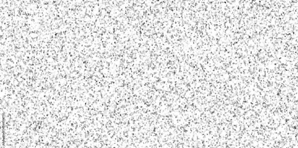 Obraz premium Abstract White granite terrazzo floor seamless pattern. black for bathroom or kitchen countertop. stone pattern old surface marble for background. 