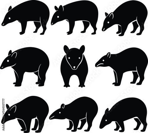 Tapir Silhouette Vector Art: Black & White Animal Illustration, Wildlife Graphic Design Elements