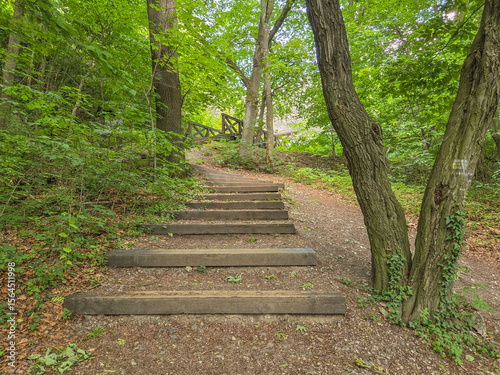 Castle ruins in Smolen, Poland.