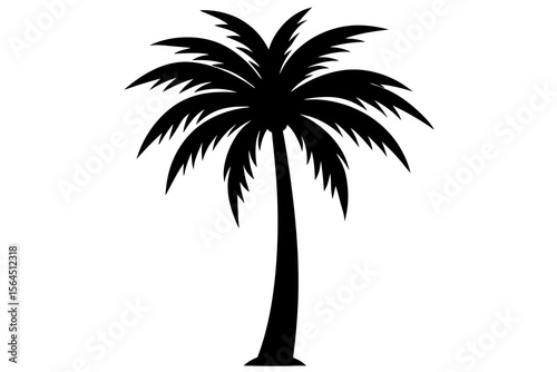 Black Palm Tree Silhouette, Tropical Vector Illustration
