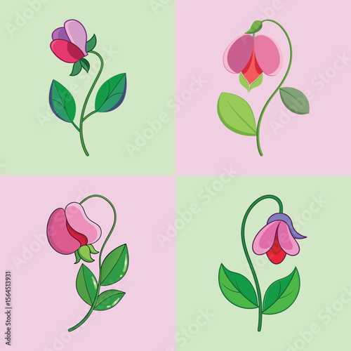 Sweet Pea Flower Flat Illustration - Delicate Cottage Garden Vector Design